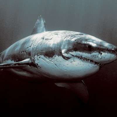 1920 x 1080 HD Wallpapers 3373